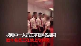国产自卫调教视频,揭秘女性自我保护的艺术与技巧